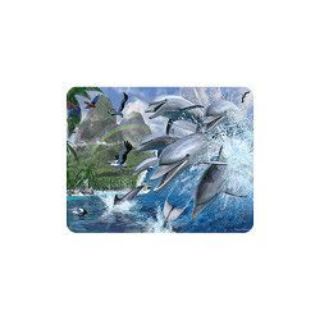 Obrázek z Magnet 3D 7x9cm - Delfíni (25) 